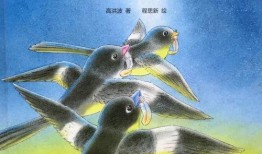 喜鹊姐姐爆料视频大全,揭秘娱乐圈幕后故事