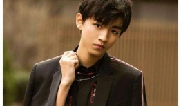 娱乐爆料王俊凯恋情视频,甜蜜视频引网友热议